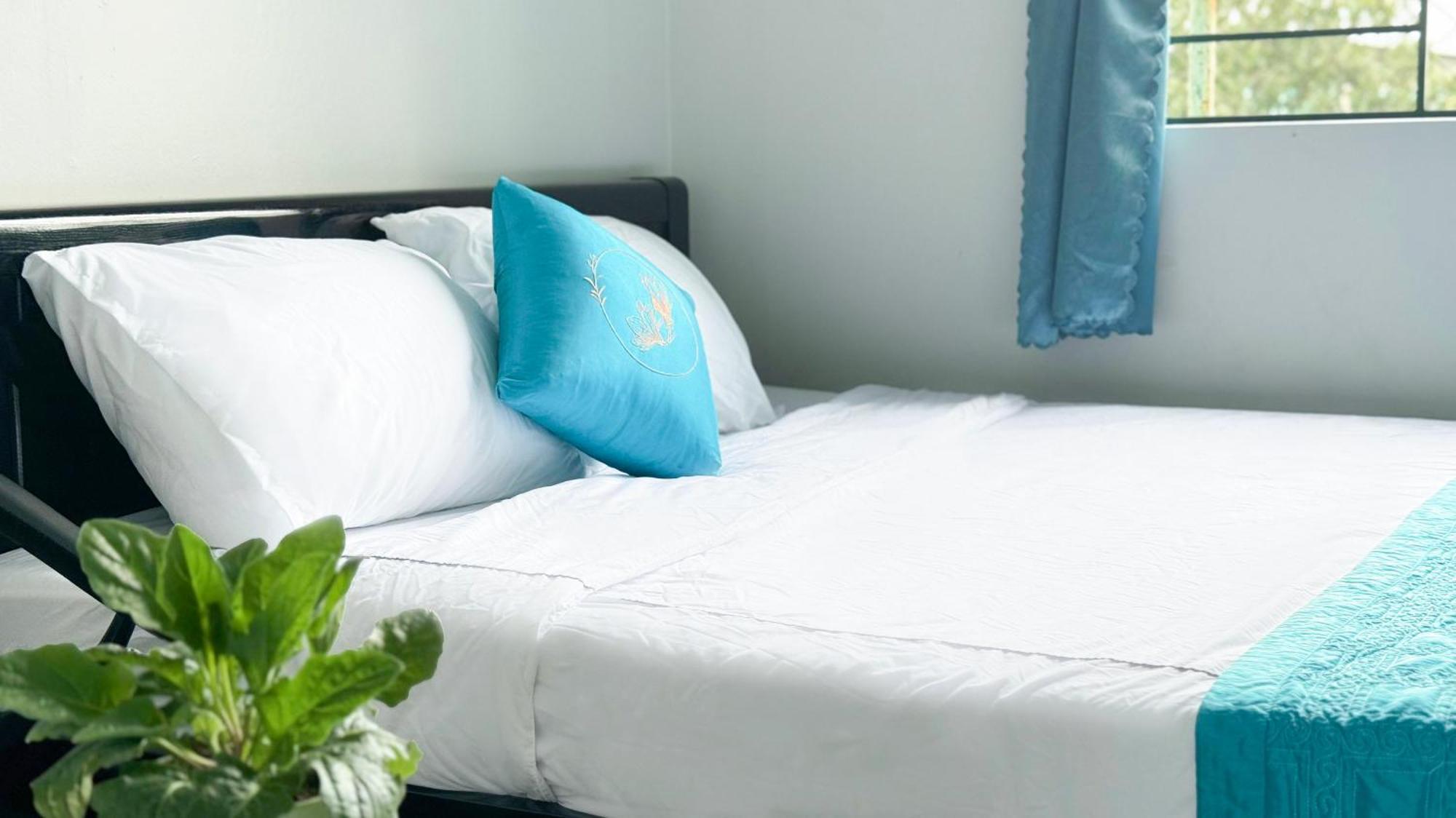 Thon Kim Long Plumeria Homestay المظهر الخارجي الصورة