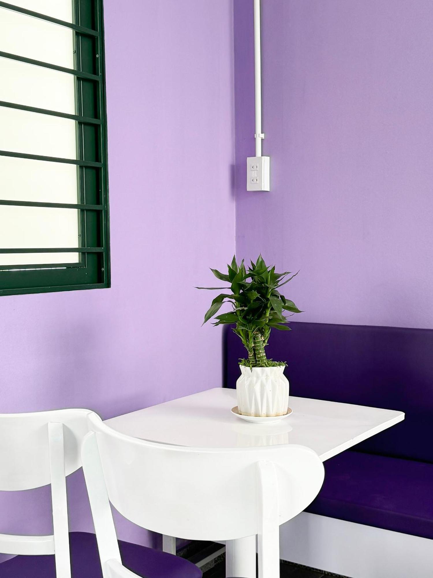 Thon Kim Long Plumeria Homestay المظهر الخارجي الصورة