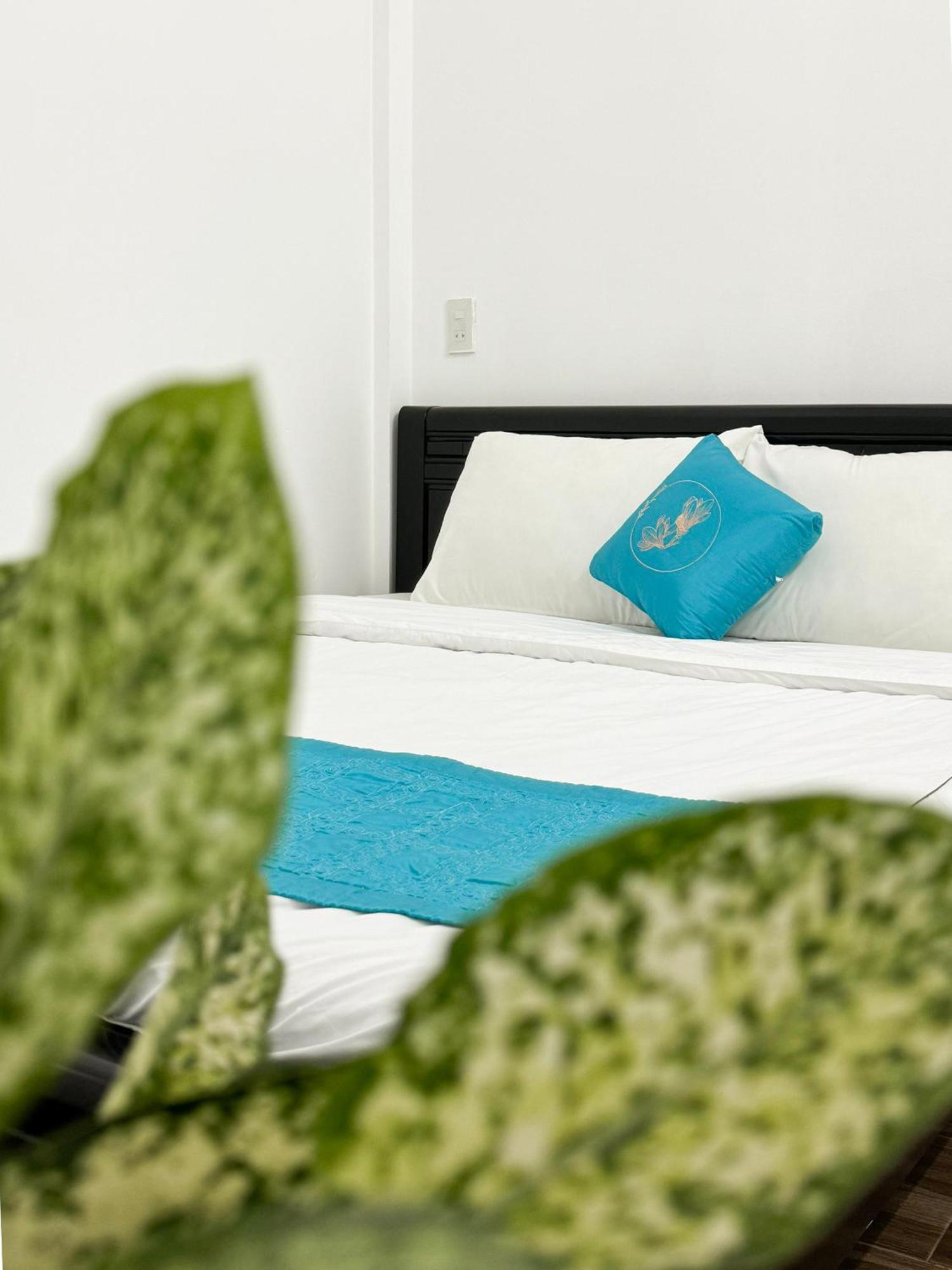 Thon Kim Long Plumeria Homestay المظهر الخارجي الصورة